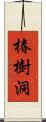 椿樹洞 Scroll