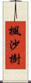楓沙樹 Scroll