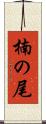 楠の尾 Scroll