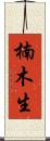 楠木生 Scroll