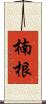楠根 Scroll