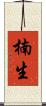 楠生 Scroll