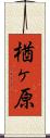楢ヶ原 Scroll