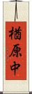 楢原中 Scroll