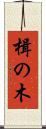 楫の木 Scroll