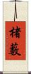 楮藪 Scroll