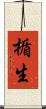 楯生 Scroll