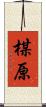 楳原 Scroll