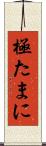 極たまに Scroll