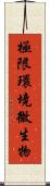 極限環境微生物 Scroll