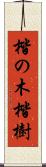 楷の木 Scroll