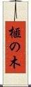 榧の木 Scroll