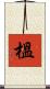 榲 Scroll
