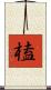 榼 Scroll