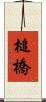 槌橋 Scroll