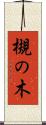 槻の木 Scroll