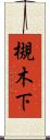 槻木下 Scroll