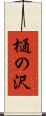 樋の沢 Scroll