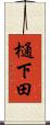 樋下田 Scroll
