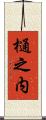 樋之内 Scroll