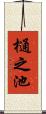 樋之池 Scroll