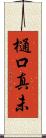 樋口真未 Scroll