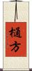 樋方 Scroll
