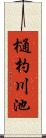 樋杓川池 Scroll