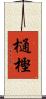 樋樫 Scroll