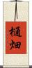 樋畑 Scroll