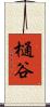 樋谷 Scroll