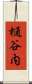 樋谷内 Scroll