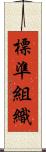 標準組織 Scroll