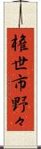 権世市野々 Scroll