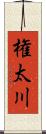 権太川 Scroll