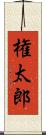 権太郎 Scroll