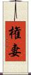 権妻 Scroll
