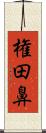 権田鼻 Scroll
