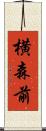 横森前 Scroll