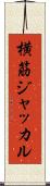 横筋ジャッカル Scroll