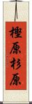樫原杉原 Scroll