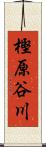 樫原谷川 Scroll