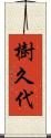 樹久代 Scroll