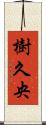 樹久央 Scroll