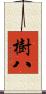 樹八 Scroll