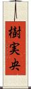 樹実央 Scroll
