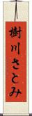 樹川さとみ Scroll