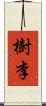 樹李 Scroll
