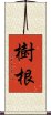 樹根 Scroll