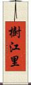 樹江里 Scroll